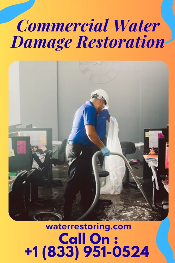 Commercial Water Damage Restoration in Belleair Beach, FL